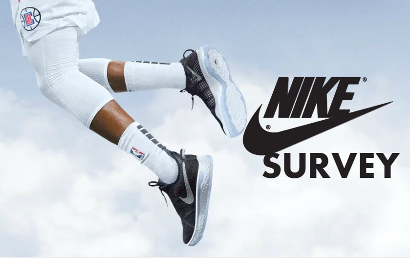 Mynikevisit