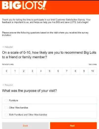 BigLotsSurvey
